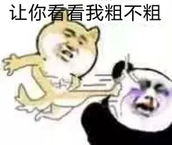 MTT锦标赛